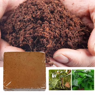 Coco Peat